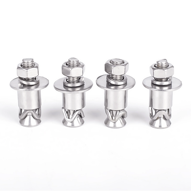 Rostfritt stål Back Cut Anchor Bolt